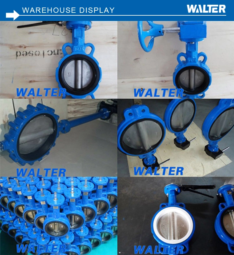 OEM/ODM Flow Control Wafer Butterfly Check